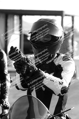 media/May-26-2024-TrackXperience (Sun) [[9b53715927]]/1-Around the Pits/